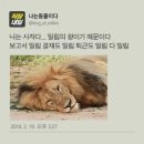 헤라결혼정보 | wed.2_2 전주 결혼식장 예약 홀투어 (더 메이, 엔타워/웨스틴헤라, 아름다운 견적)