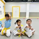 별하태권도 이미지