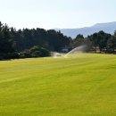 오라골프존 이미지