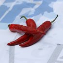 왕인농장 이미지