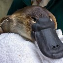 WITH PC zone 이미지