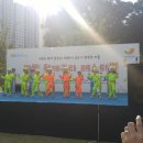 수원시 장안구 청개구리 수원시민신문