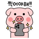 이도야지