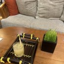 킹 당구장 | 나트랑 신상 리조트 아미아나 깜란 리조트 이용 후기 (디럭스 씨뷰 킹룸 객실, 조식, 해피아워, 부대시설)