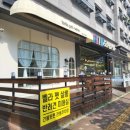 벨라 펫 살롱 이미지