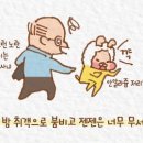 젠토리 이미지