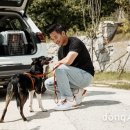 모던펫코리아 동아일보