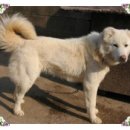 용모농장 이미지