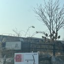 파베뉴(Pavenue) | 파주 드라이브 카페 / 조용하게 머물기 좋은 시골뷰 카페 파베뉴 ♥︎