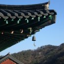 대천불교 이미지