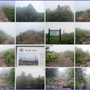 노루목산장 | 지리산 2박 3일(3일차) 산행 후기(2014. 06. 22.~24.)