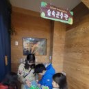 전남 아이와 가볼만한곳 영암곤충박물관 (해설, 장수풍뎅이 유충 구입 후기)