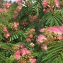 앞뜰농장 이미지