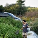 금호강영천 이미지