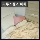 서울, 신촌, 원룸, 추천 파루스셀라 이화 입실 문의 잦은 쾌적함