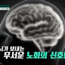회신상회 이미지