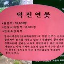 덕진-58 Daum카페