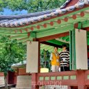 더케이제주호텔(주)Tour 이미지