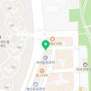 퍼피 비비드 강아지분양 하남미사본점 이미지