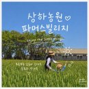 [고창 아이랑 여행] 봄 여행가기 좋은 상하농원 파머스빌리지 패밀리트윈 내돈내산