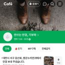 드라마안경 발안점 이미지