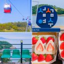 김밥나라웅천점 | 여수여행 여름 휴가지 추천 여수 엑스포역KTX 기차여행