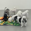 하이뭉치 유치원 이미지