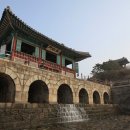 행복도시 영천(벽화 | 경기도 수원 뚜벅이 데이트 여행코스 행궁동 벽화마을 놀거리 방화수류정