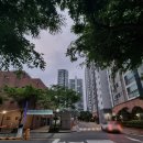 대우세탁소 | 당산임장 영등포 임장 당산푸르지오 아파트 임장 후기