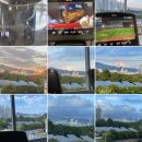 3136 | [용호동 헬스] 광안대교 보며 유산소 할 수 있는 "스탠다드짐 용호점" 피티 후기