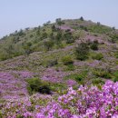 보성만나식당 이미지