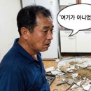 넥스젠에스디