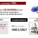 로지sd로샤 네이버블로그