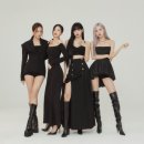 미니멀새비지