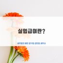 세무법인예인압구정 이미지
