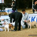 E&B인터내셔널 Daum카페