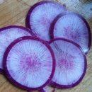 고령농장 이미지