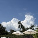 ㈜스토어플랜 (코보스호텔) | 두돌아기랑 세부여행 태교여행 강추(에어로케이 청주공항 출발, 세부샹그릴라리조트 가격, 공항픽드랍...