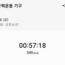병아리공원 이미지