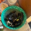 서촌계단집 | [경복궁맛집]서촌 계단집 바위굴 후기, 경복궁역 해산물 맛집, 제철 여름 바위굴 먹는다면 무조건 여기!