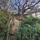 대산면910 이미지