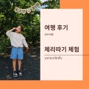경주 체리 | 아이와 경주 체리따기 체험 서백농원 후기