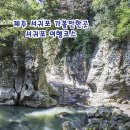 서귀포시청소년수련관 | 제주 서귀포 가볼만한곳 안덕계곡 박수기정 외 서귀포 여행 코스