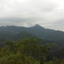 수문상회