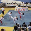 퍼스트태권도 이미지