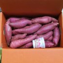 명지농장 이미지