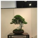 91 국풍전 후기 5