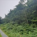 오량초등학교 병설유치원 이미지