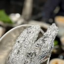 상고 | 상수역 고기집 찐 맛집 추천 상고집 모듬구이 솔직후기