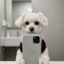 방배로20길 25-23 | 인생은 회전목마 아니고 횡단보도